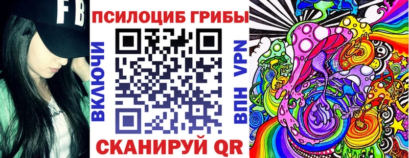 Псилоцибиновые грибы Cubensis  Лобня 