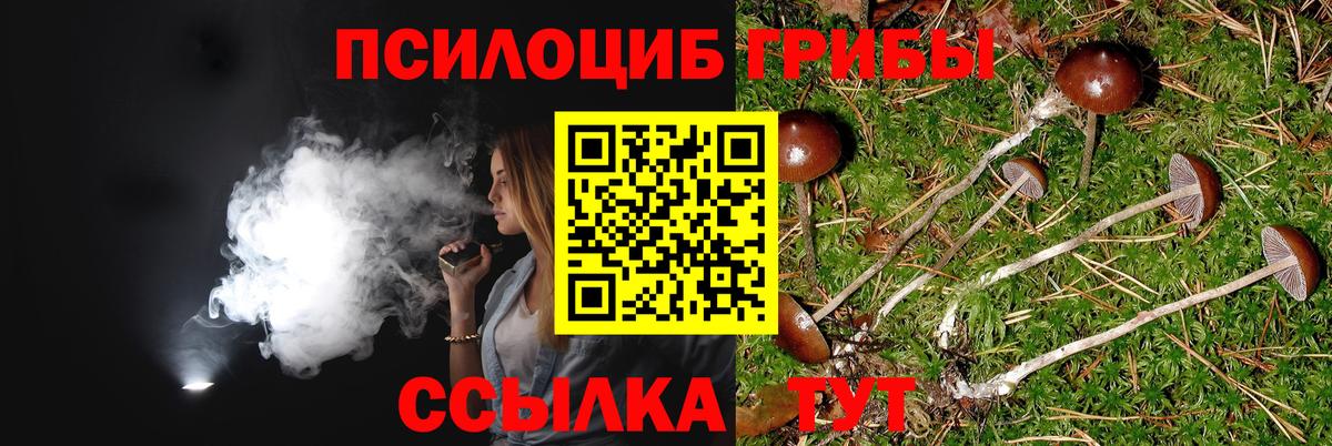 Галлюциногенные грибы ЛСД Лобня